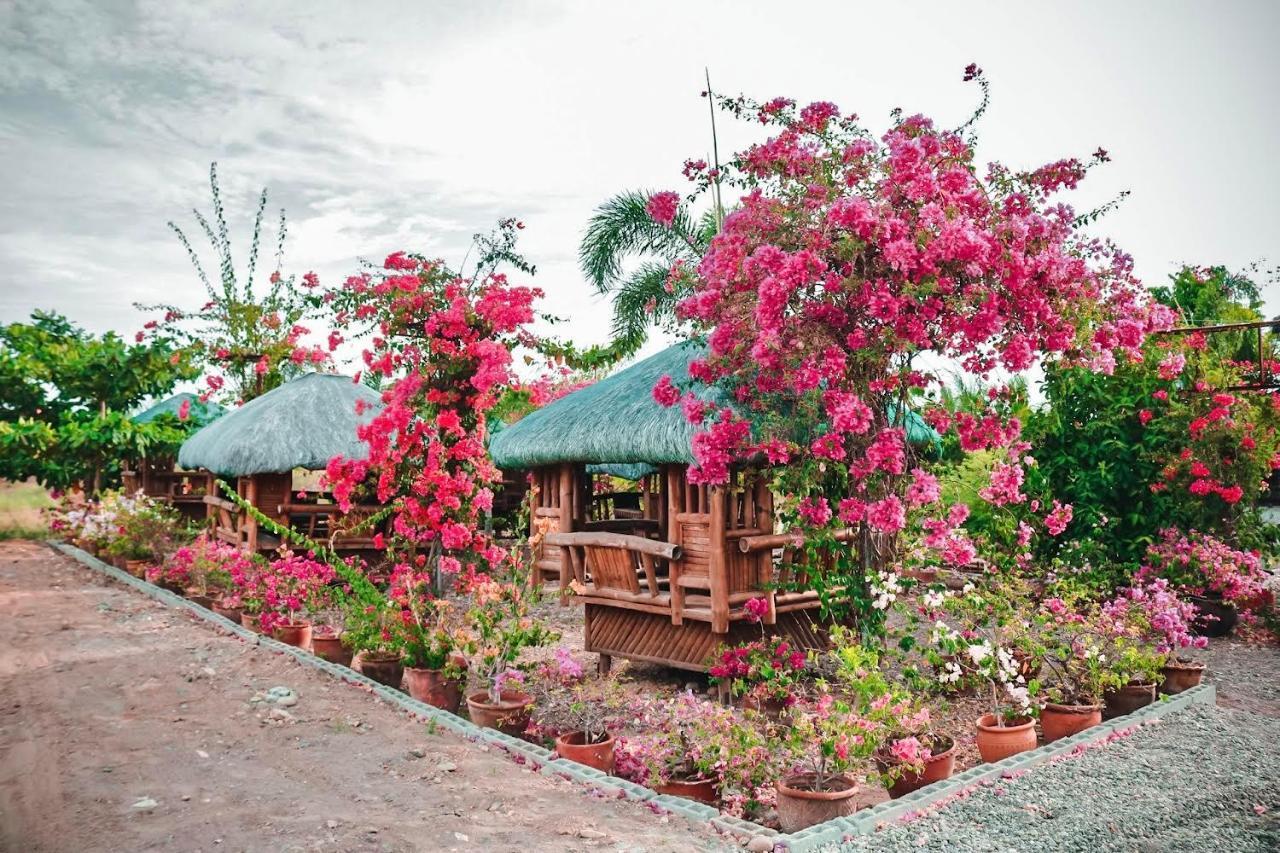 Airport View Hotel Vigan Exteriér fotografie